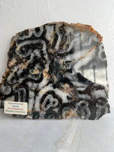 Load image into Gallery viewer, Hydrothermal Agate Slice
