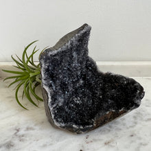 Load image into Gallery viewer, Black Amethyst 1
