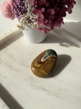 Load image into Gallery viewer, Polychrome Agate Palm I
