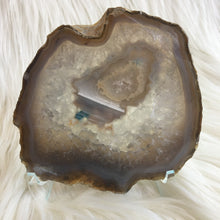 Load image into Gallery viewer, Agate Slice IV
